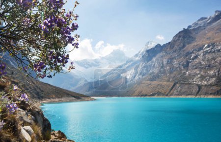 Photo for Beautiful lake Paron in Cordillera Blanca,  Peru, South America - Royalty Free Image