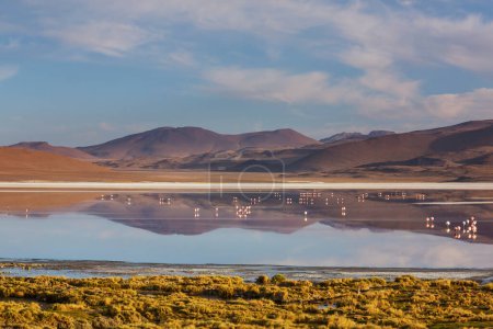 Foto de El paisaje surrealista de Sudamérica. Colorida Laguna Colorada en la meseta Altiplano en Bolivia
. - Imagen libre de derechos