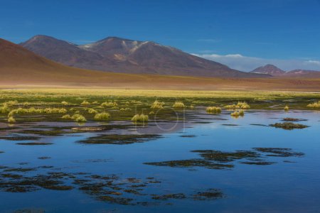 Photo for Beautiful natural landscapes in Atacama desert, northern Chile - Royalty Free Image