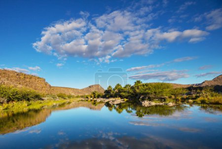 Photo for Oasis  in mexican desert, Baja California - Royalty Free Image