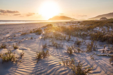 Téléchargez les photos : Belle plage au coucher du soleil sur la côte de l'océan. - en image libre de droit