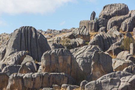 Natural Stone Forest in Peru: Huallay in Pasco.