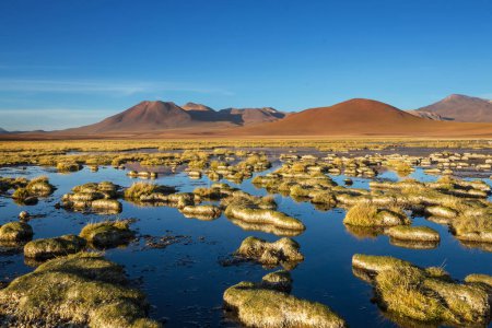Foto de Hermosos paisajes naturales en el desierto de Atacama, norte de Chile - Imagen libre de derechos