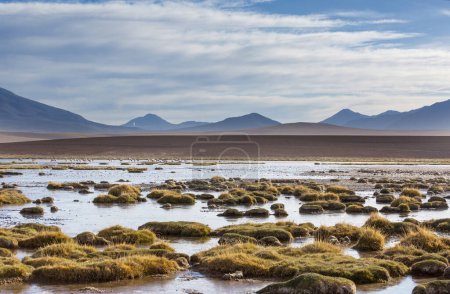 Hermosos paisajes naturales en el desierto de Atacama, norte de Chile