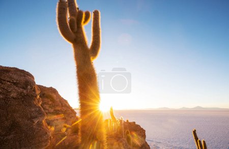 Gran cactus en la isla Incahuasi, Salar de Uyuni, Altiplano, Bolivia. Paisajes naturales insólitos desiertos viaje solar América del Sur
