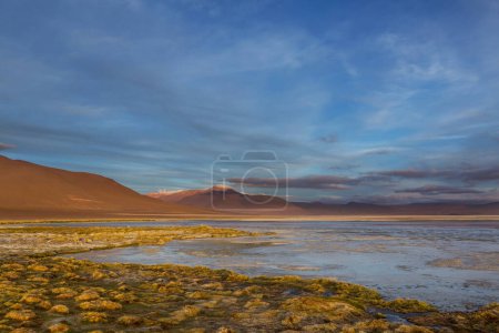 Altiplano-See in den Anden, Bolivien, Südamerika