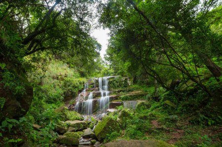 Beautiful small waterfall in green jungle, Argentina, South America