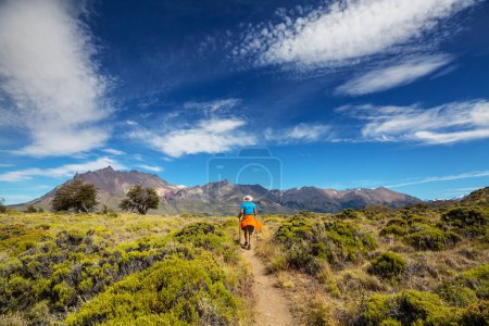 Photo for Hike in the Patagonian mountains, Argentina - Royalty Free Image