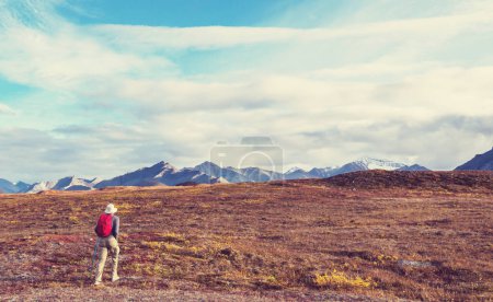Foto de Caminata en la tundra polar - Imagen libre de derechos
