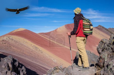 Photo for Hiking scene in Vinicunca, Cusco Region, Peru. Montana de Siete Colores, Rainbow Mountain. - Royalty Free Image