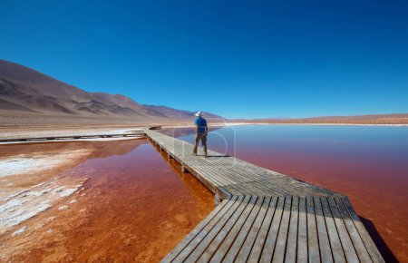 Foto de Turista entre fantásticos paisajes escénicos del norte argentino. Hermosos paisajes naturales inspiradores. - Imagen libre de derechos