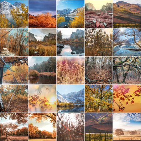 Téléchargez les photos : Collage d'automne orange et jaune. Fond d'automne. - en image libre de droit