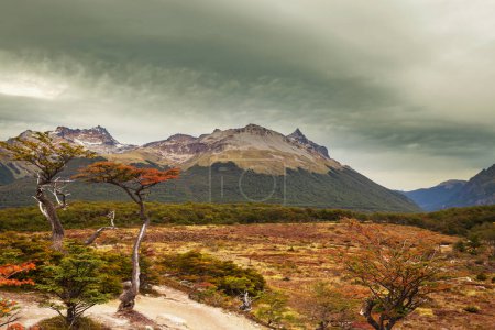 Temporada de otoño en las montañas Patagonia, América del Sur, Argentina