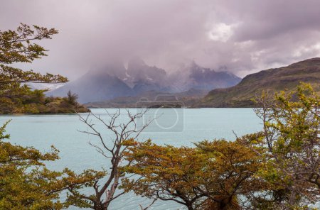 Foto de Hermosos paisajes de montaña en el Parque Nacional Torres Del Paine, Chile. Región de senderismo de fama mundial. - Imagen libre de derechos