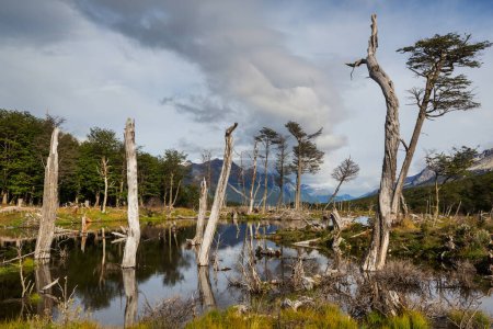 Beautiful mountains landscape near Ushuaia in Tierra del Fuego, Argentina