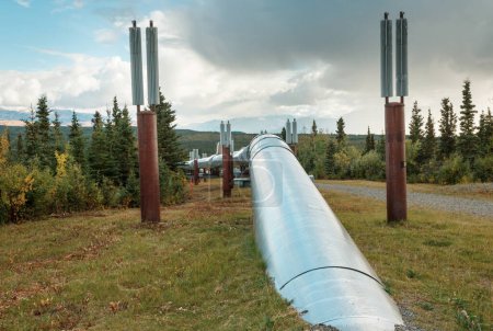 USA, Alaska, Dalton Highway Pipeline im Tal