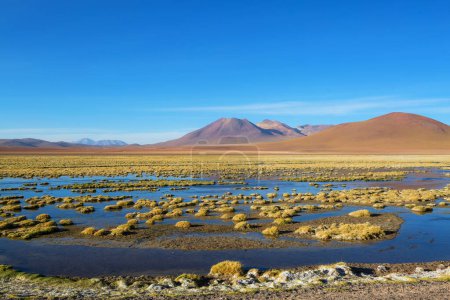 Téléchargez les photos : Beaux paysages naturels dans le désert d'Atacama, nord du Chili - en image libre de droit