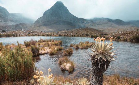 Téléchargez les photos : Belles hautes montagnes en Colombie - en image libre de droit