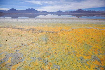 Téléchargez les photos : Beaux paysages naturels dans le désert d'Atacama, nord du Chili - en image libre de droit