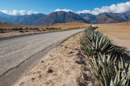 Téléchargez les photos : Champs agricoles dans les montagnes verdoyantes au Pérou, Amérique du Sud - en image libre de droit