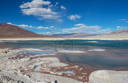 Paysages pittoresques du nord de l'Argentine. Beaux paysages naturels inspirants. Laguna Verde à Salar Antofalla.