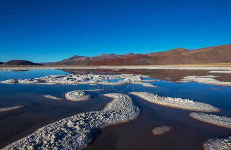 Fantastische Landschaften im Norden Argentiniens. Schöne inspirierende Naturlandschaften. Laguna Verde in Salar Antofalla.