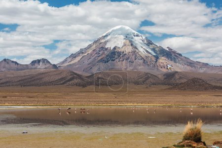 Téléchargez les photos : Paysages montagneux insolites en Bolivie altiplano voyage aventure Amérique du Sud - en image libre de droit