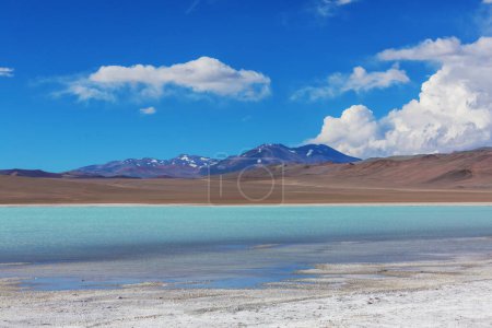 Téléchargez les photos : Paysages pittoresques du nord de l'Argentine. Beaux paysages naturels inspirants. - en image libre de droit