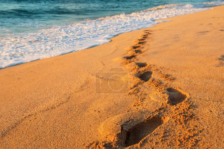 Foto de Huellas en la arena. Hermosa playa con agua turquesa y arena amarilla. - Imagen libre de derechos