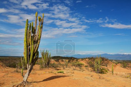 Téléchargez les photos : Paysages insolites à Tatacoa désert, Colombie, Amérique du Sud - en image libre de droit