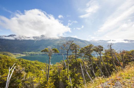 Foto de Hermoso paisaje montañoso cerca de Ushuaia en Tierra del Fuego, Argentina - Imagen libre de derechos