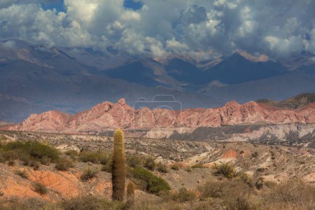 Hermosos paisajes naturales en el norte de Argentina. Camino de grava entre cactus
.