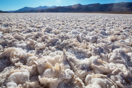 Champ de sel brut dans le désert d'Atacama, Chili