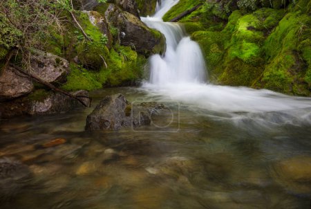 Foto de Water cascade in the forest, USA - Imagen libre de derechos