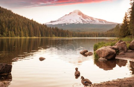 Photo for Mount. Hood reflection in Trillium lake,  Oregon, USA. Beautiful natural landscapes - Royalty Free Image
