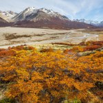 Perito Moreno National Park in Argentina, South America. Beautiful colorful autumn season.