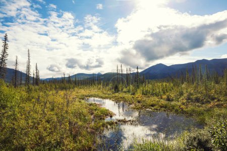Téléchargez les photos : Lac de sérénité dans la toundra en Alaska - en image libre de droit