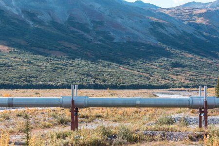 USA, Alaska, Dalton Highway Pipeline im Tal