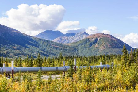 Estados Unidos, Alaska, gasoducto Dalton Highway en el valle
