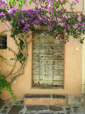 Foto de Una antigua envejecida elegante puerta marrón de madera vieja - Imagen libre de derechos