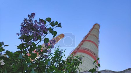 Foto de Chimeneas de centrales eléctricas contra el cielo azul y hojas y flores verdes, sin humo, contaminación - Imagen libre de derechos