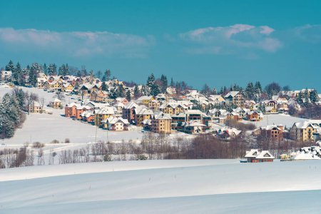 Téléchargez les photos : Beau paysage de Zlatibor en hiver avec des maisons colorées et des pins sempervirents sur une colline couverte de neige - en image libre de droit