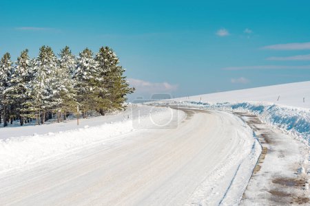 Foto de Sinuoso camino vacío cubierto de nieve que conduce a un bosque de pinos siempreverdes de la montaña Zlatibor en Serbia - Imagen libre de derechos