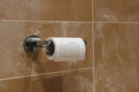 Foto de Roll of toilet paper on wall mounted holder, selective focus - Imagen libre de derechos