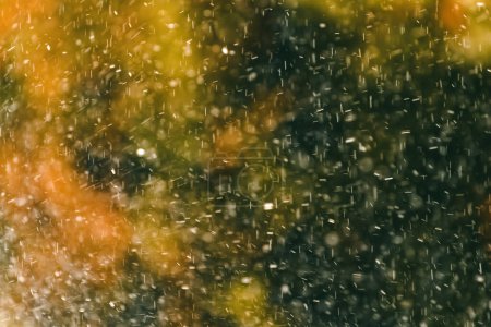 Téléchargez les photos : Raindrops during summer shower rain as abstract background, selective focus - en image libre de droit