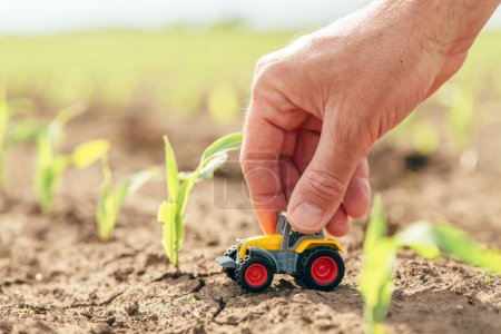 Male farmer hand holding miniature die cast tractor model toy in corn field, close up with selective focus