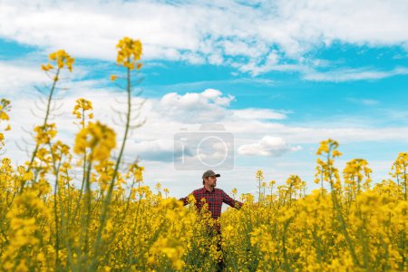 Téléchargez les photos : Ouvrier agricole portant une chemise à carreaux rouges et un chapeau de camionneur debout dans un champ de colza cultivé en fleurs et regardant au-dessus des cultures, accent sélectif - en image libre de droit