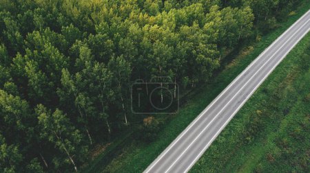 Téléchargez les photos : Aerial shot of two lane highway through green poplar tree woodland from drone pov, high angle view - en image libre de droit