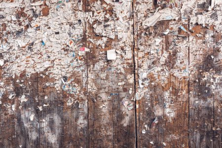 Photo for Old worn wooden notice board with scrap paper and rusty staples as grunge texture - Royalty Free Image