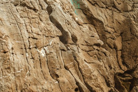 Foto de Texture of rough brown rock cliff as natural background - Imagen libre de derechos